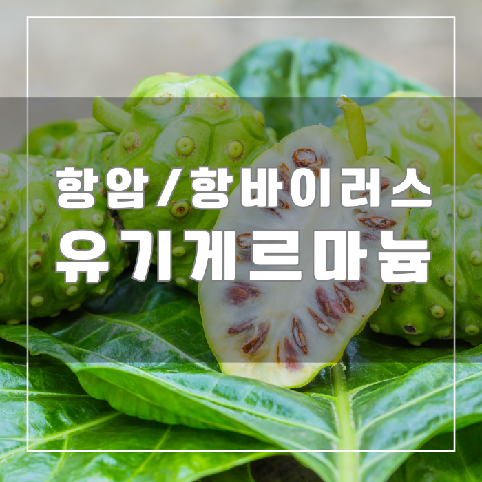 유기게르마늄