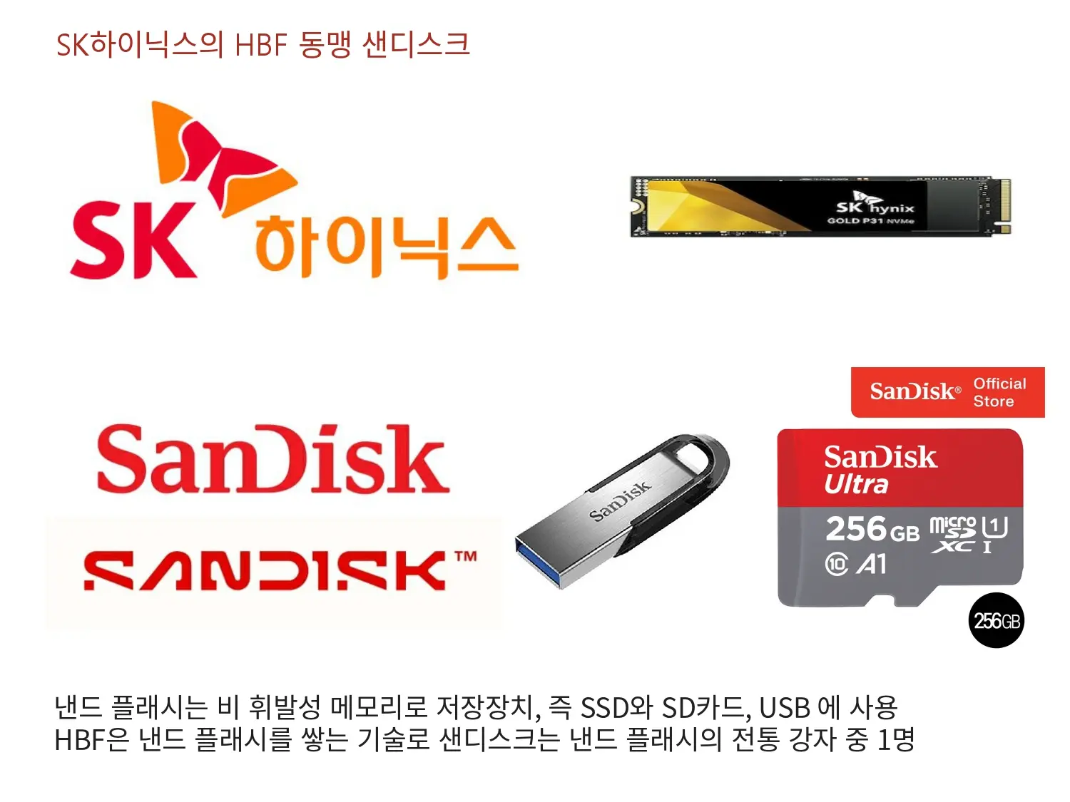 SK하이닉스의 HBF 동맹 샌디스크
