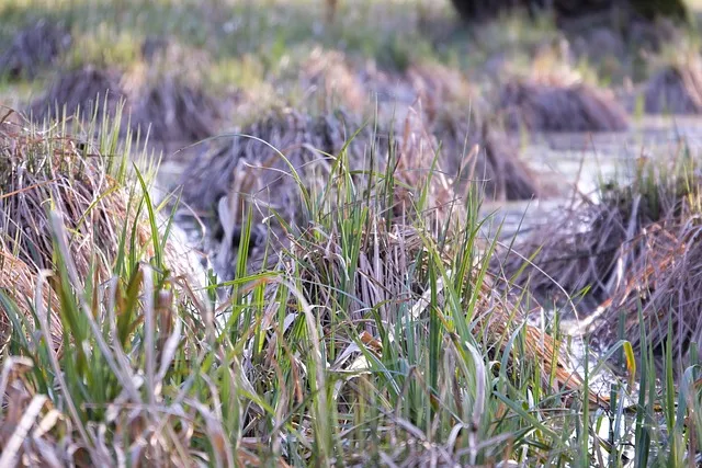 압해도 장감리 감성돔 포인트 소개와 혼자하는 낚시의 즐거움 완벽 낚시 가이드_7