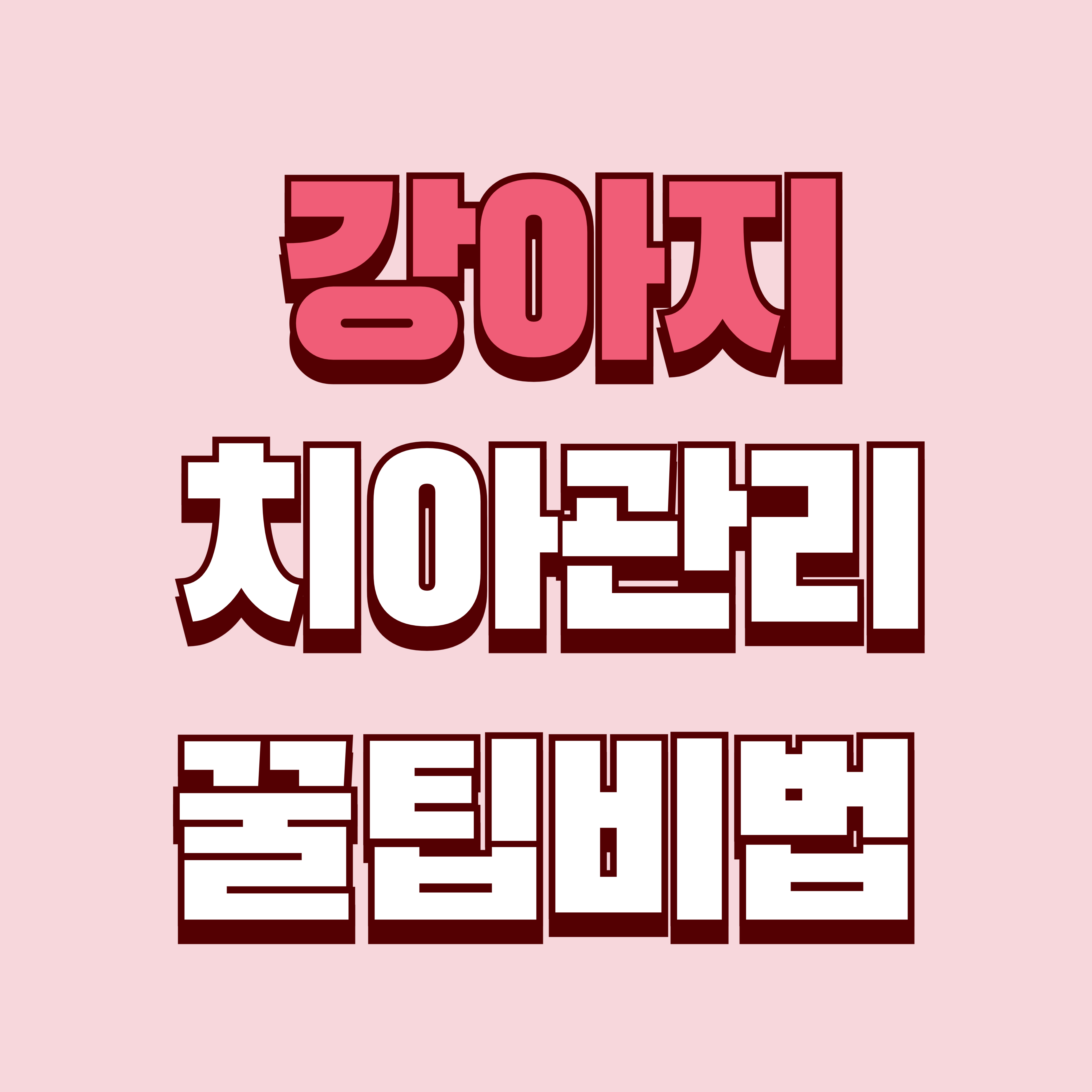 강아지 치아 관리, 중년도 쉽게 할 수 있는 반려견 치아 건강 비법