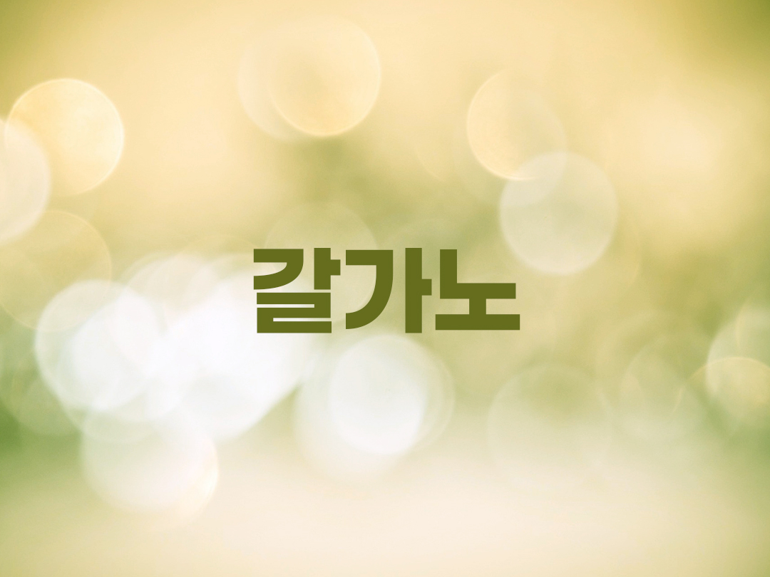 갈가노 천주교 남자세례명