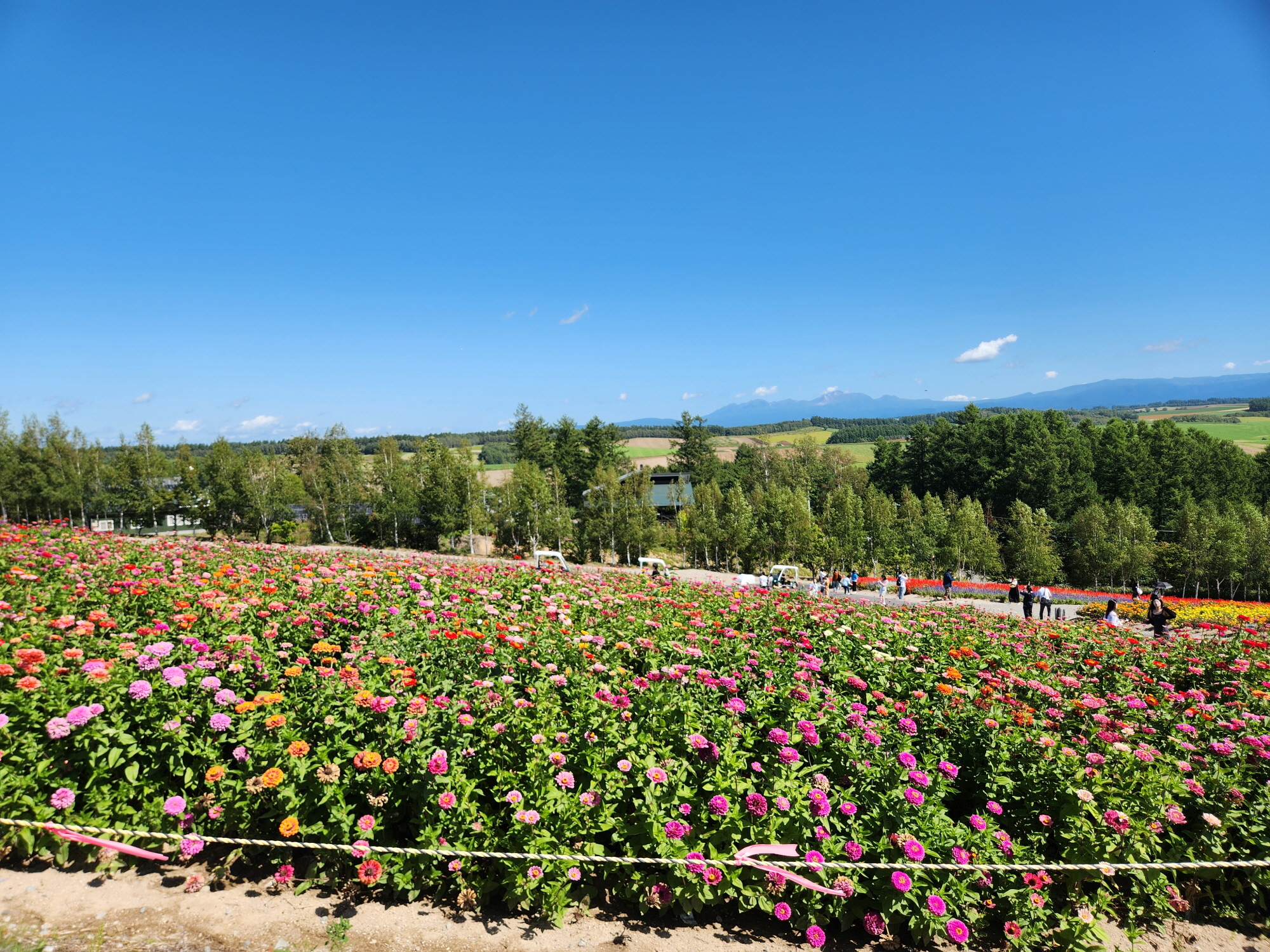 사계체 언덕 - 15