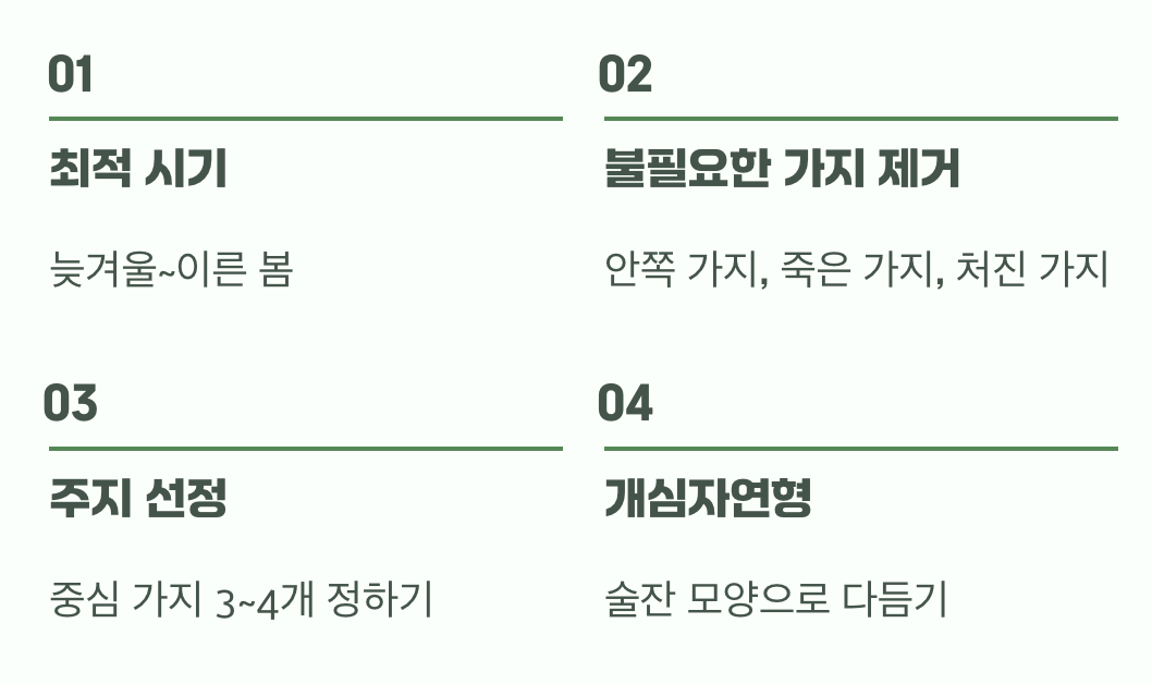 비결 3. 튼튼한 뼈대를 위한 &amp;#39;가지치기&amp;#39;