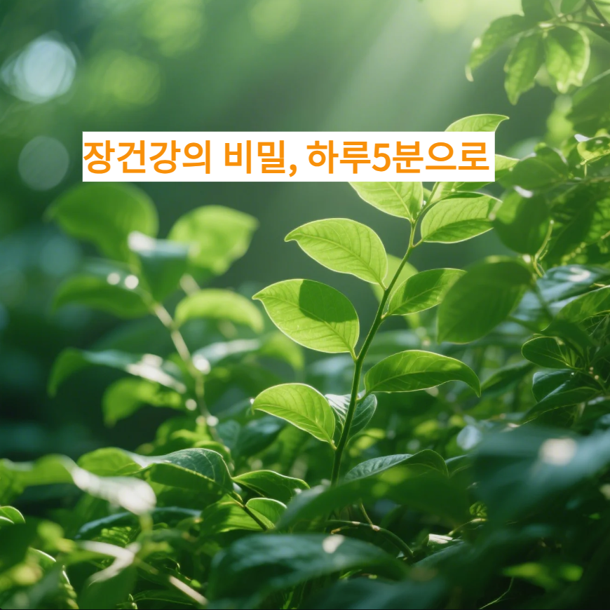 장 건강을 위해 하루 5분 습관 만들기