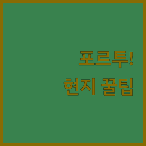 포르투 와인 투어 로드맵 숙소 근처 ..