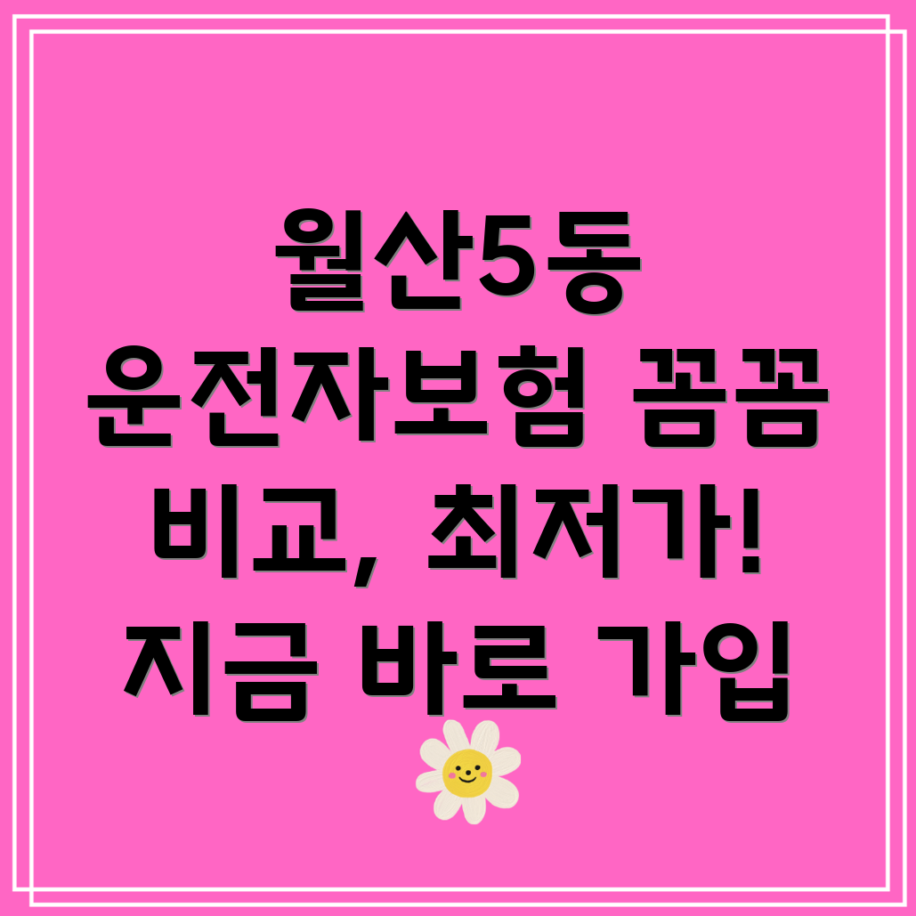광주시 남구 월산5동 운전자 보험