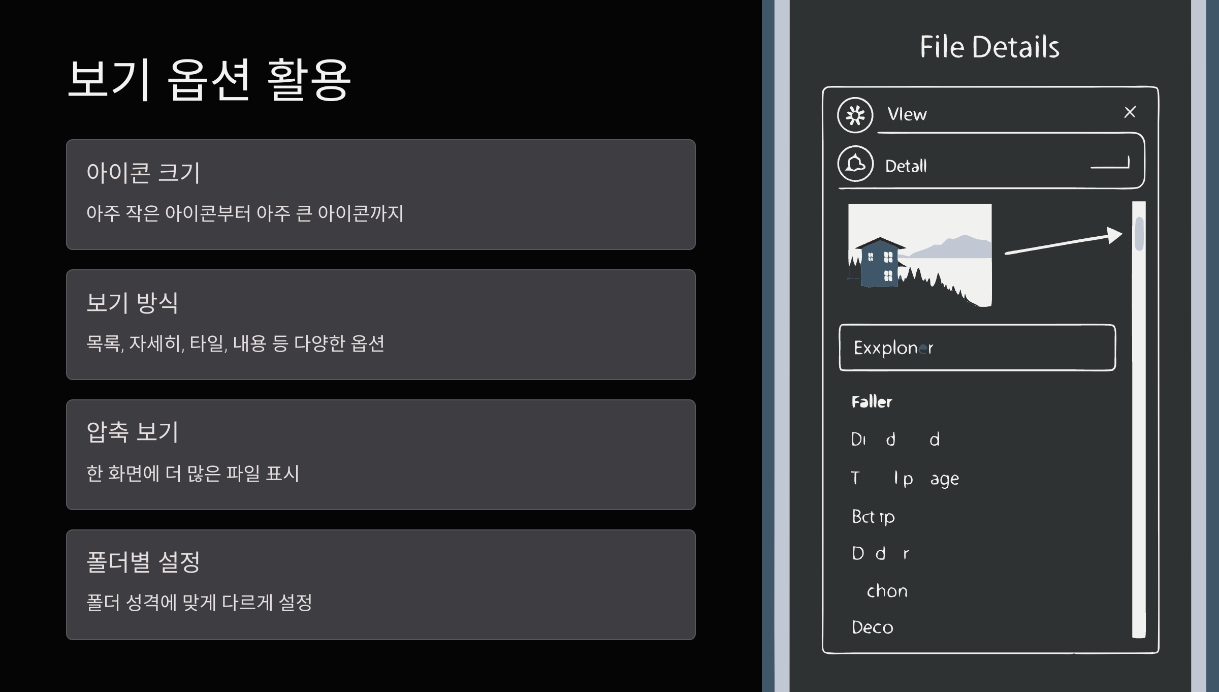 보기옵션