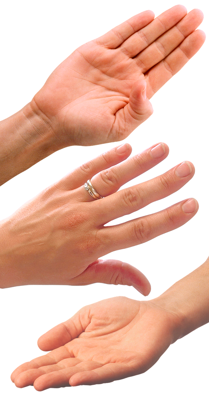 다양한 손 모양