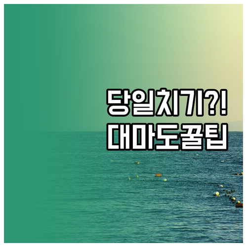 대마도 당일치기 여행 배편 선택과 현..