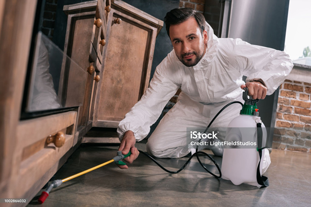 처서전 해충퇴치