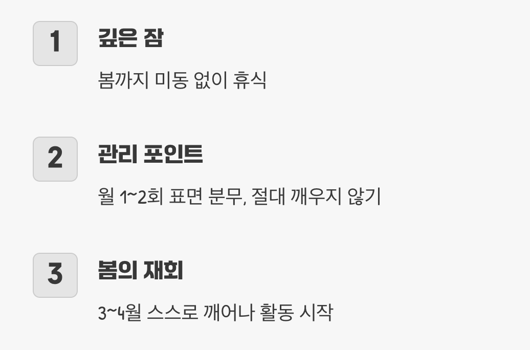 기다림의 시간&amp;#44; 그리고 봄의 약속