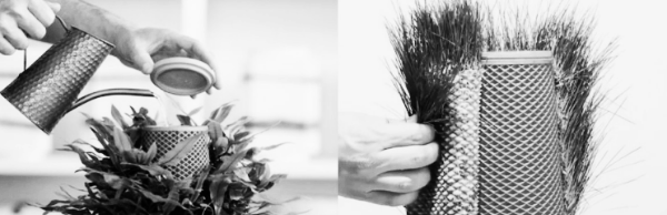 화분 교체 방법 마무리