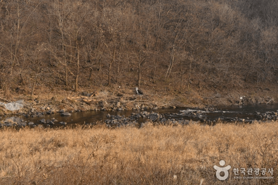청양군 작천계곡