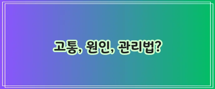 치질 증상 원인과 확실한 치질 관리 방법!