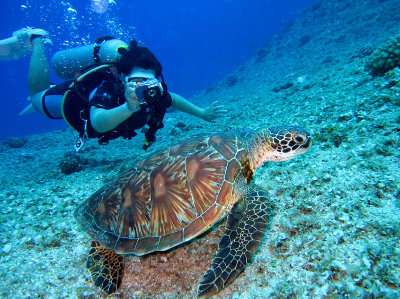 1월 신혼여행지 추천