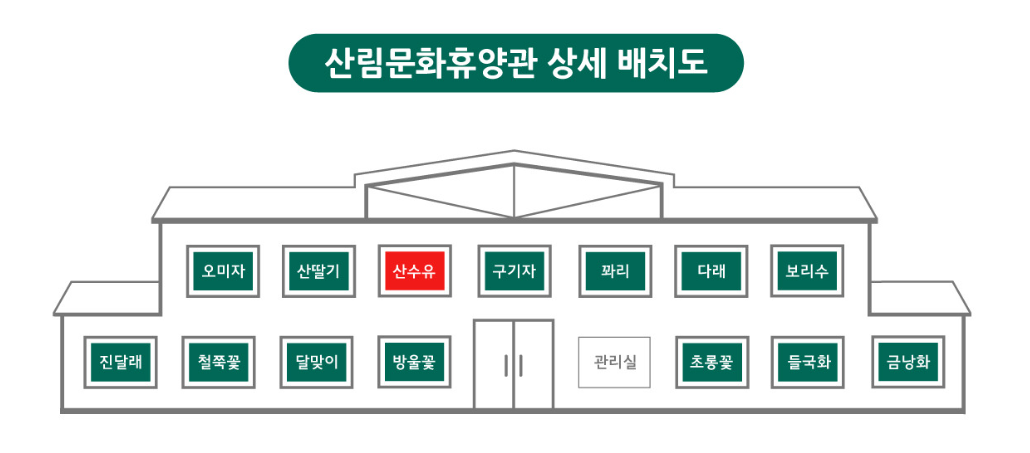 가리왕산 자연휴양림 예약, 데크, 캠핑, 휴양관 한눈에 보는 완벽 가이드