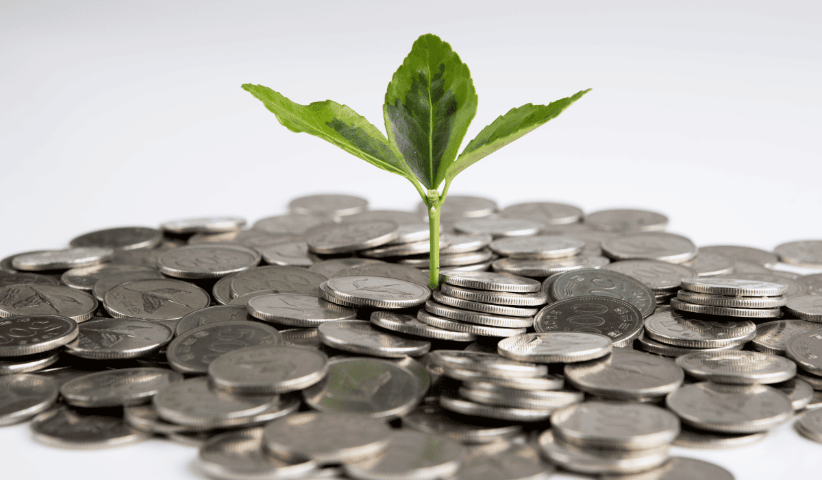 kb_국민_차차차_5