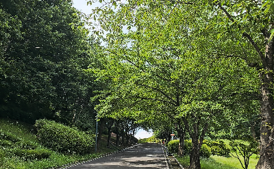 환호공원_스페이스워크_