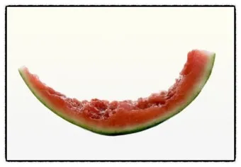 수박껍질 음식물쓰레기 헷갈리는 분들을 위한 정확한 정리_22