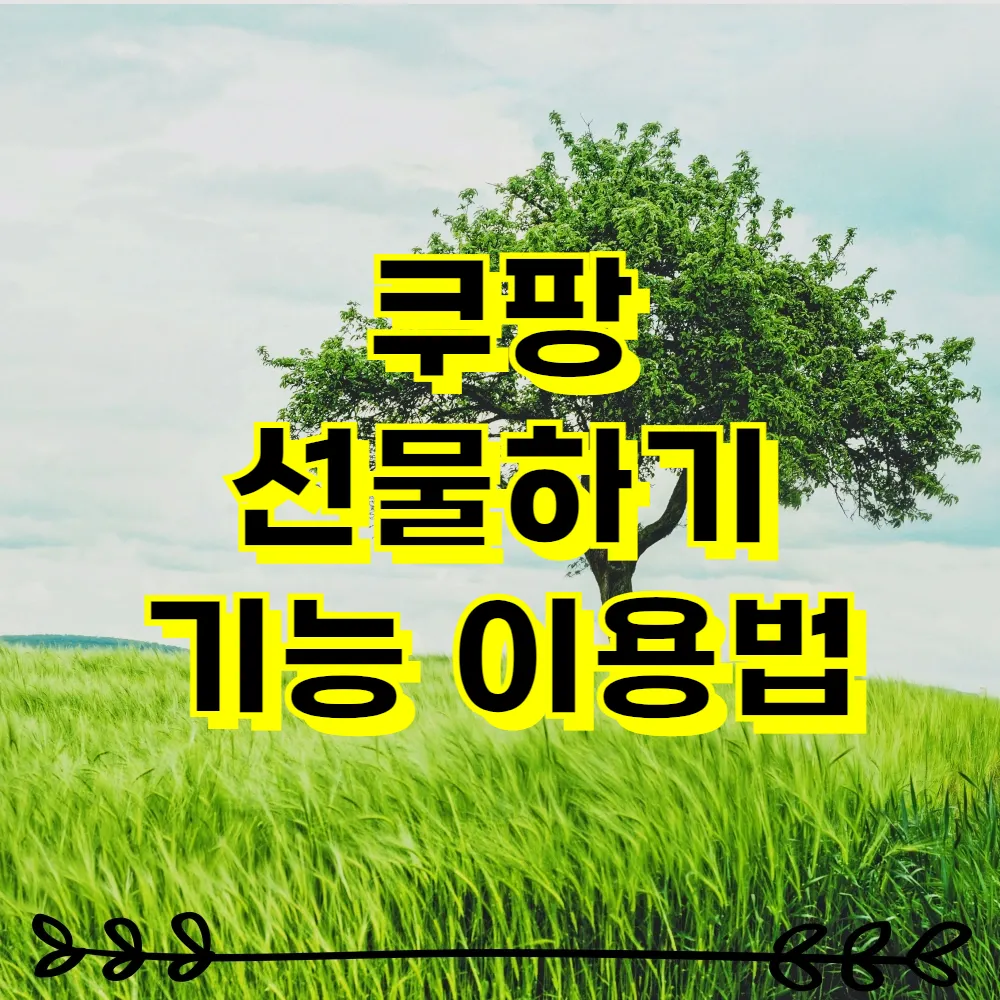 쿠팡 선물하기 기능 이용법