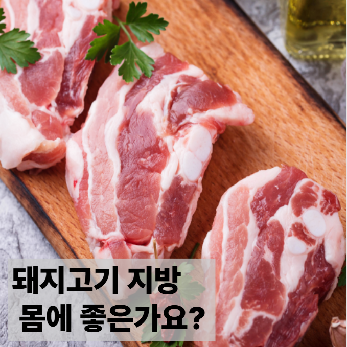 건강과 영양 가득한 돼지고기의 진실!