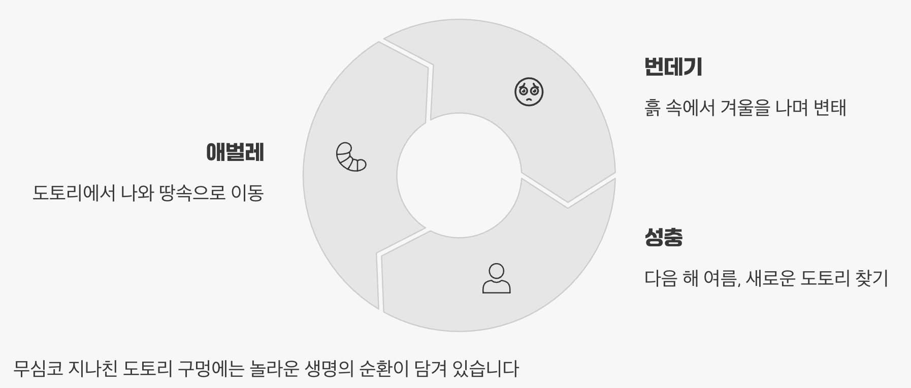 5. 땅속에서의 긴 기다림과 새로운 시작