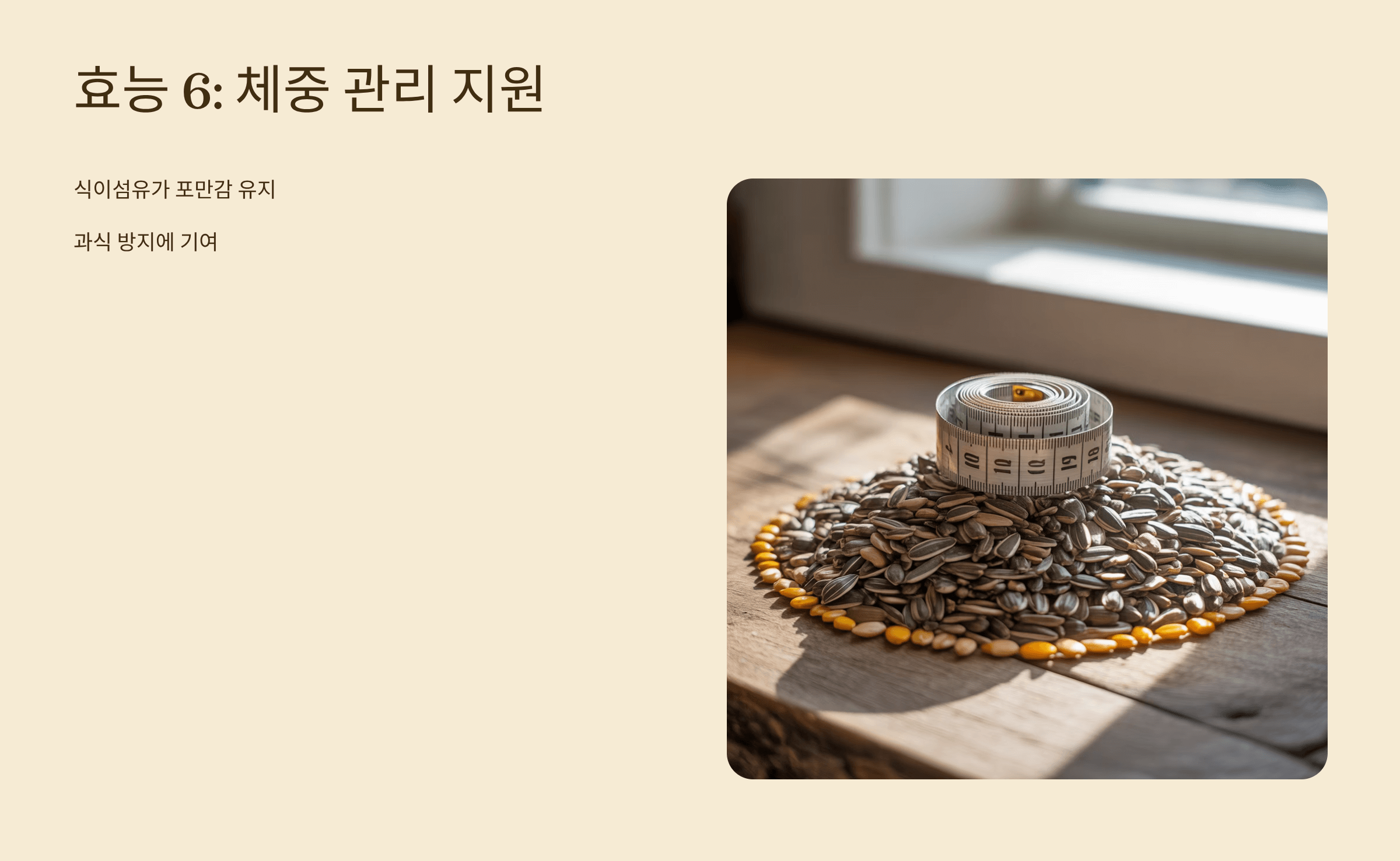 해바라기씨 사진입니다.