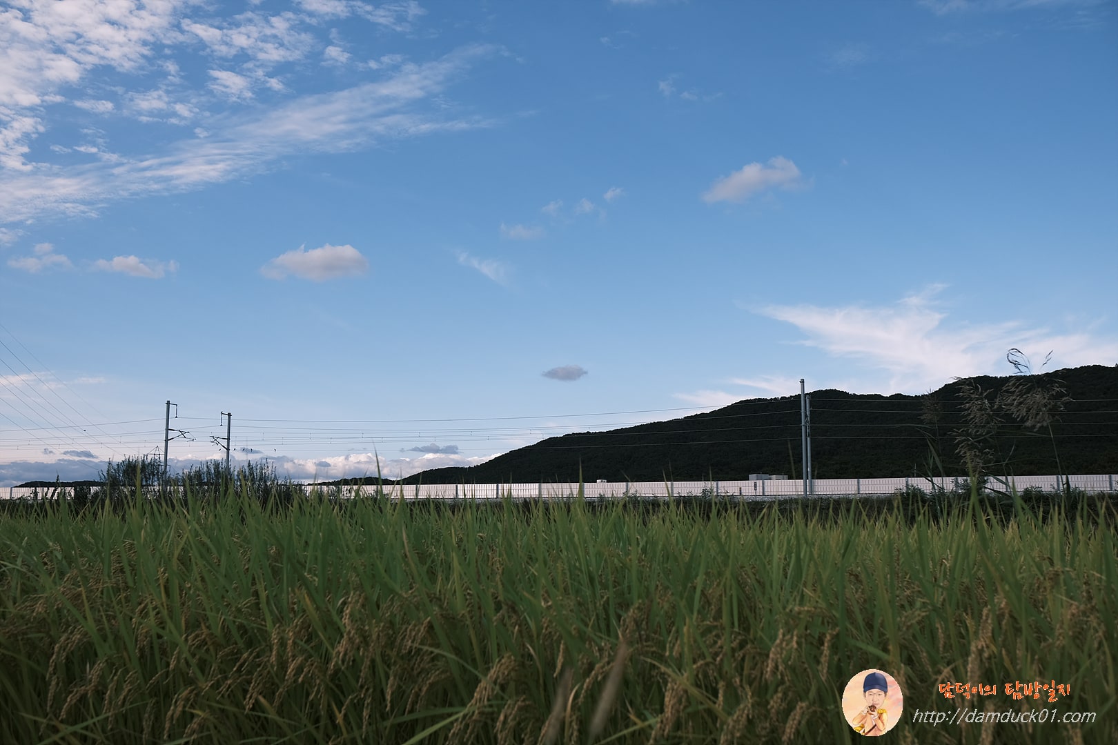 가을-하늘-시골-벼-담덕이의탐방일지