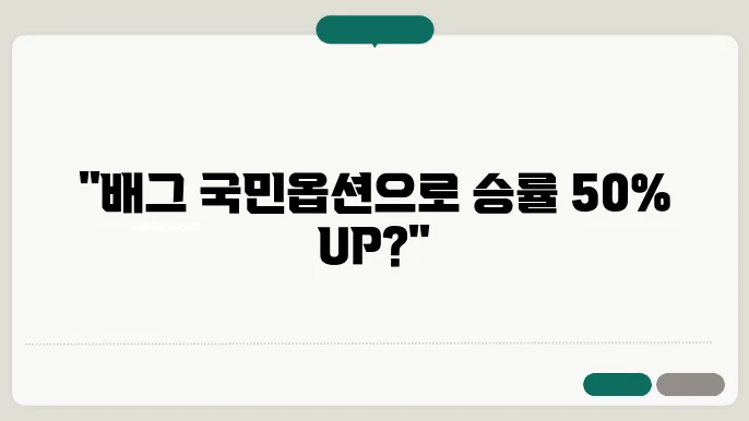 배그 국민옵션