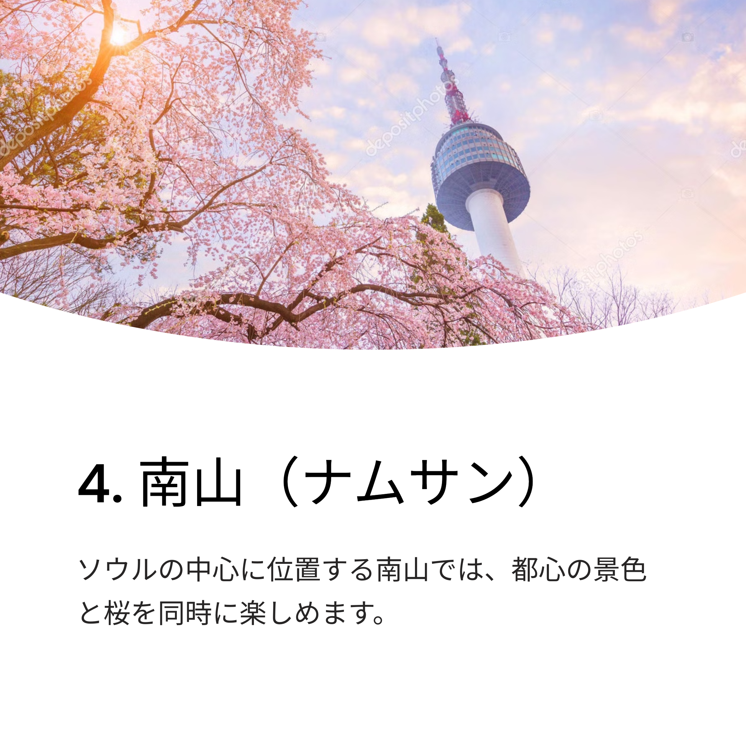 2025年 ソウル桜の名所 TOP 10 完全ガイド - インスタ映えスポットから穴場まで