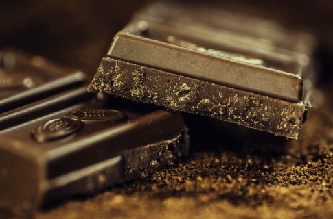 고양이가먹으면안되는음식