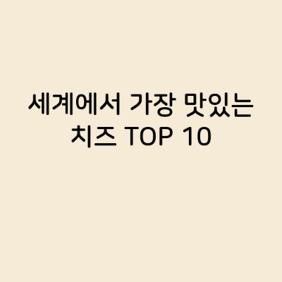 세계에서 가장 맛있는 치즈 TOP 10이 궁금하지 않습니까?