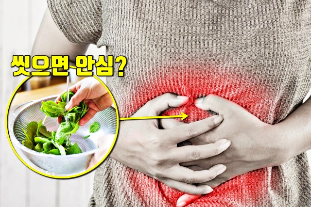 식중독 증상, 여름에 많이 걸리는 병, 건강 팁줌 매일꿀정보