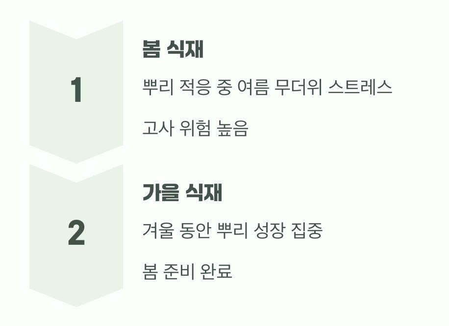 꽃과 뿌리의 성장 사이클