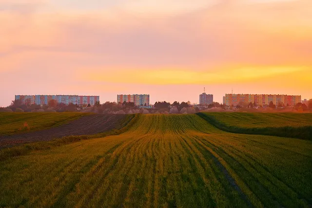 밀 재배 파종 밀도 월동 관리 도복 방지_8
