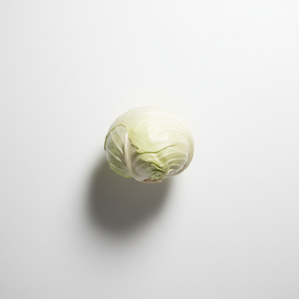 습관처럼 먹는 양배추&amp;#44; 진짜 효능과 제대로 먹는 방법