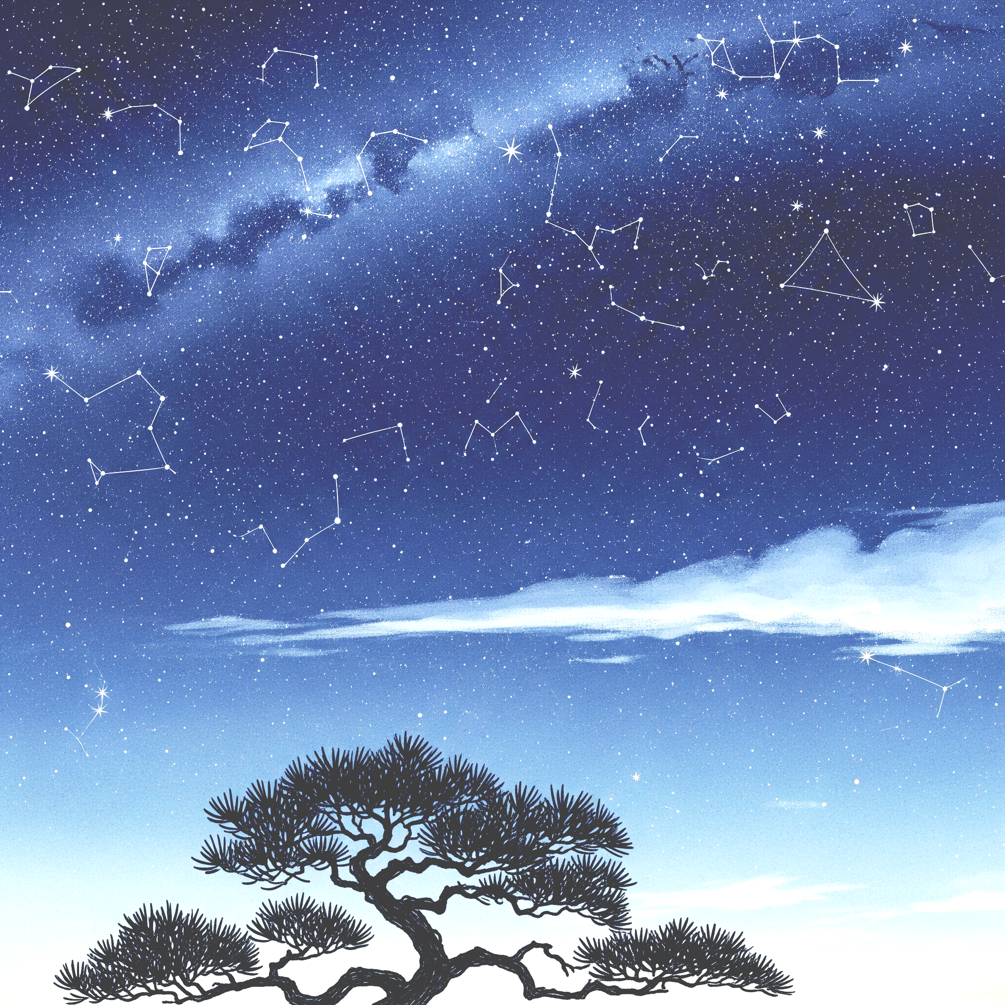 소나무 위의 밤하늘