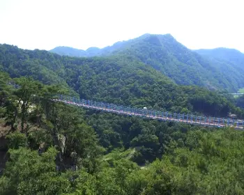 소금산 출렁다리_13