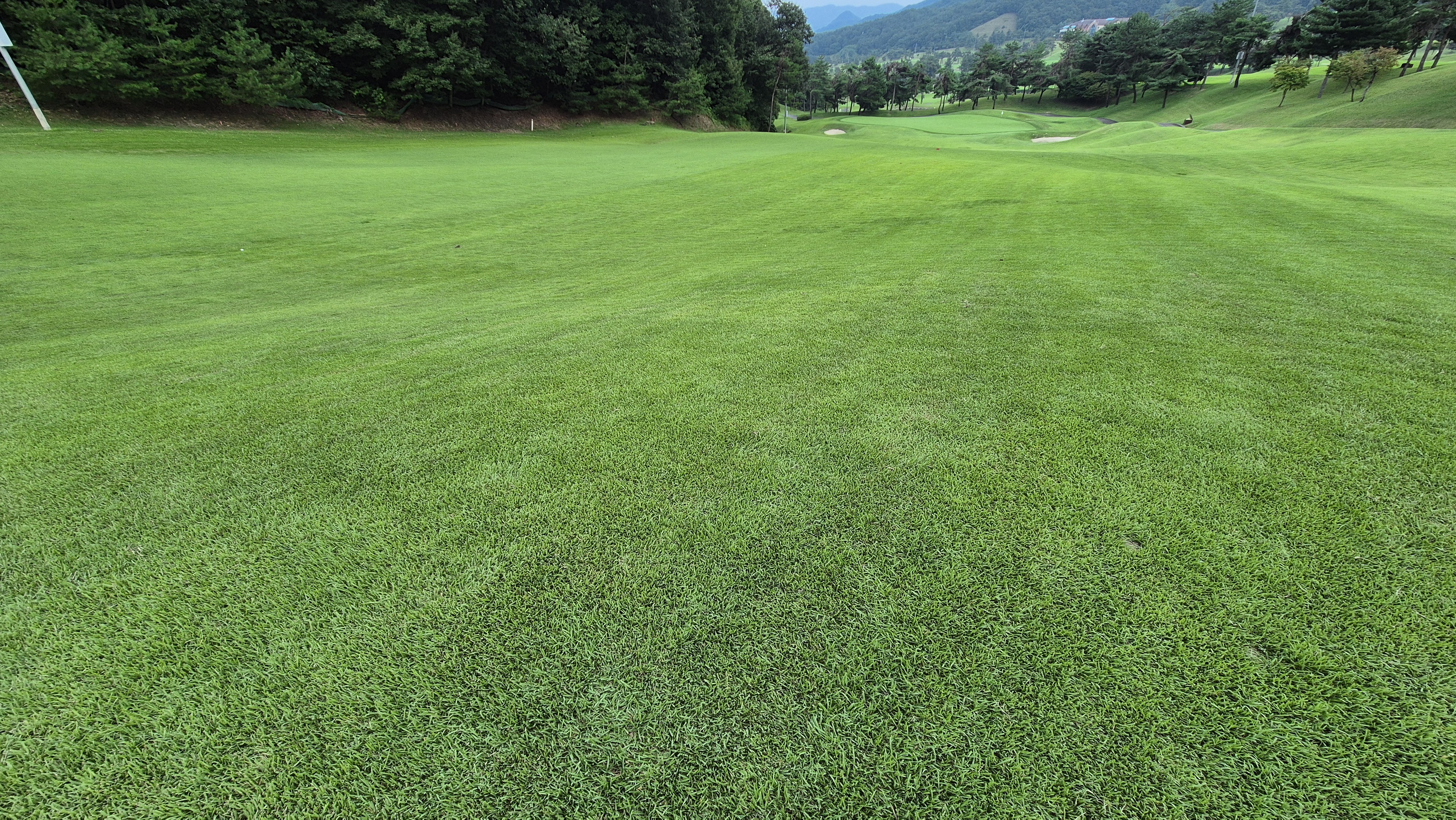 동원썬밸리cc 라운드 후기