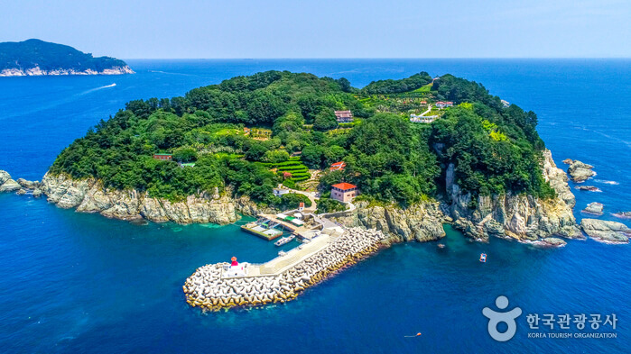 안산 대부도 바다향기수목원에서 만나는 바다와 식생이 공존하는 풍경의 구조