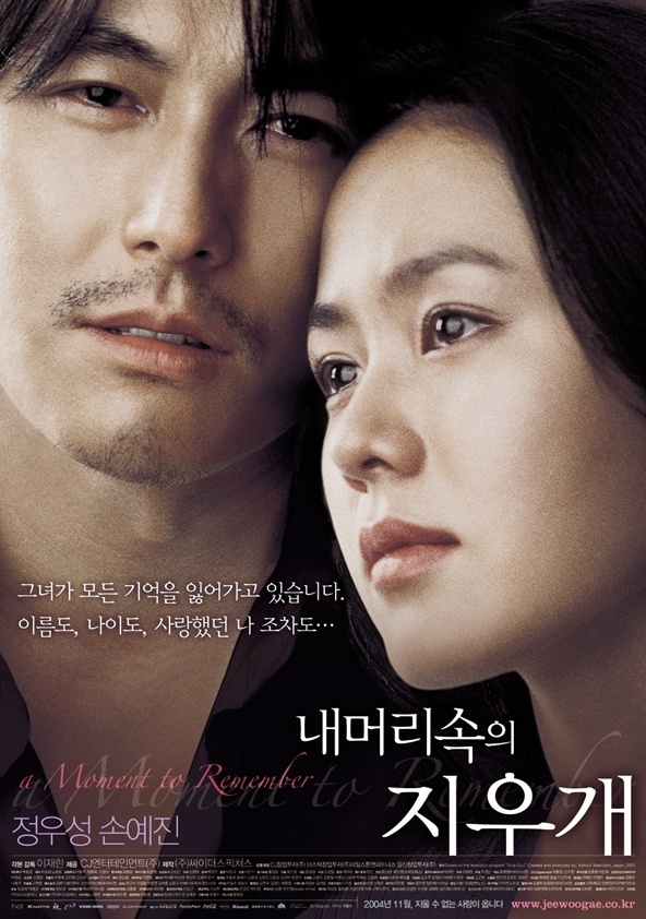 영화 내 머리속의 지우개 포스터