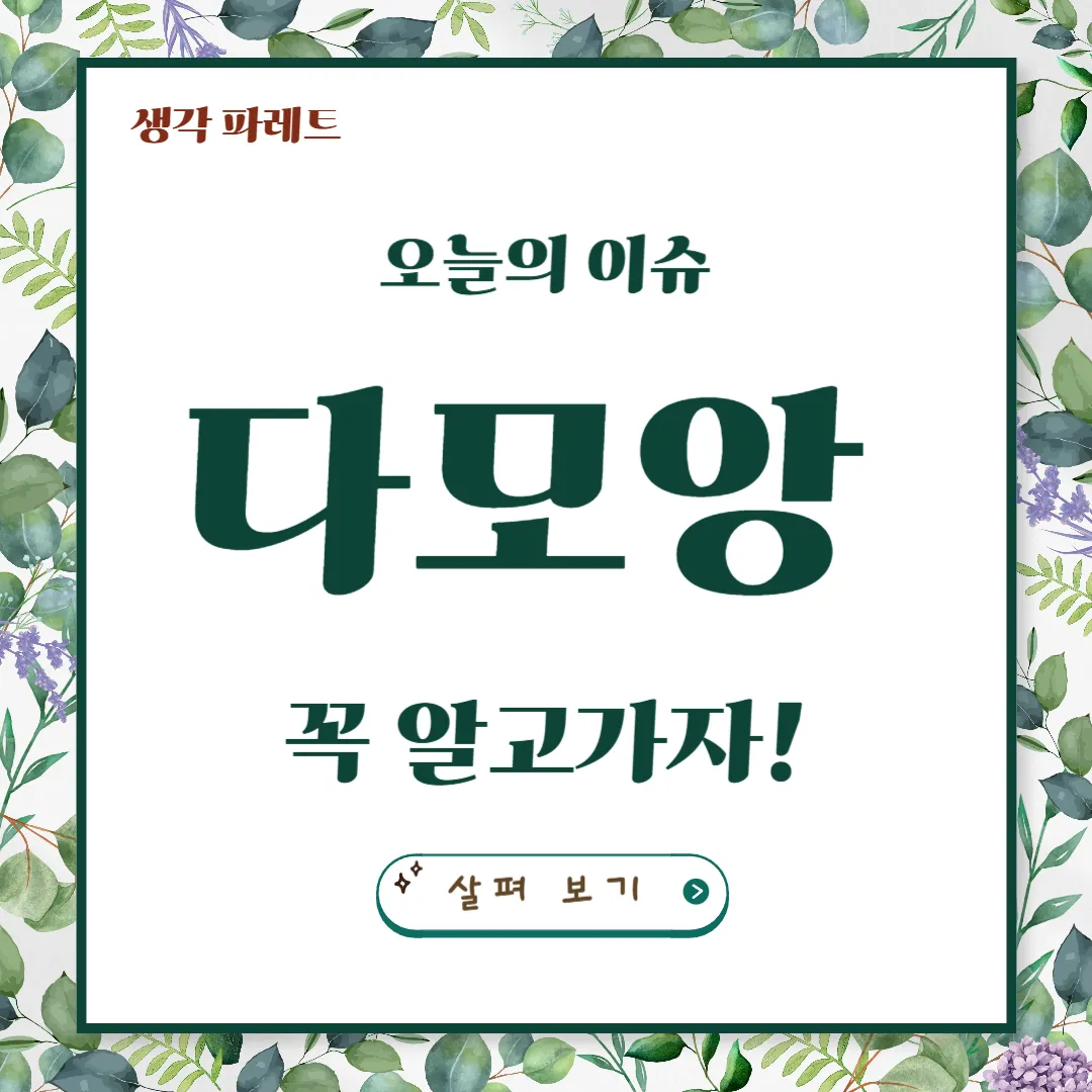 다모앙을 깊이 있게 파헤쳐보아요: 어떤 곳?