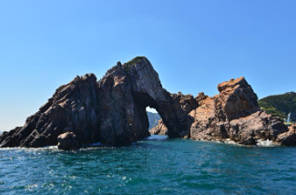 전남 신안 도초도 수국축제