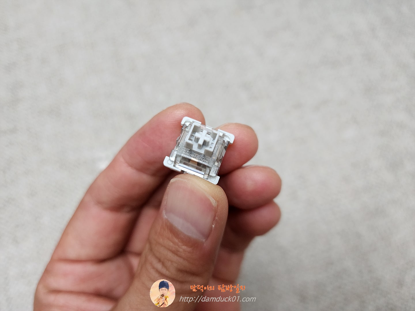 Gray wood Axis 회목축