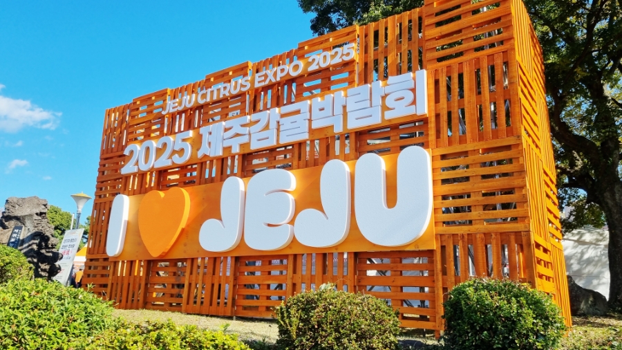 2025 제주 감귤박람회 일정&middot;입장료&middot;체험 총정리 관련 사진