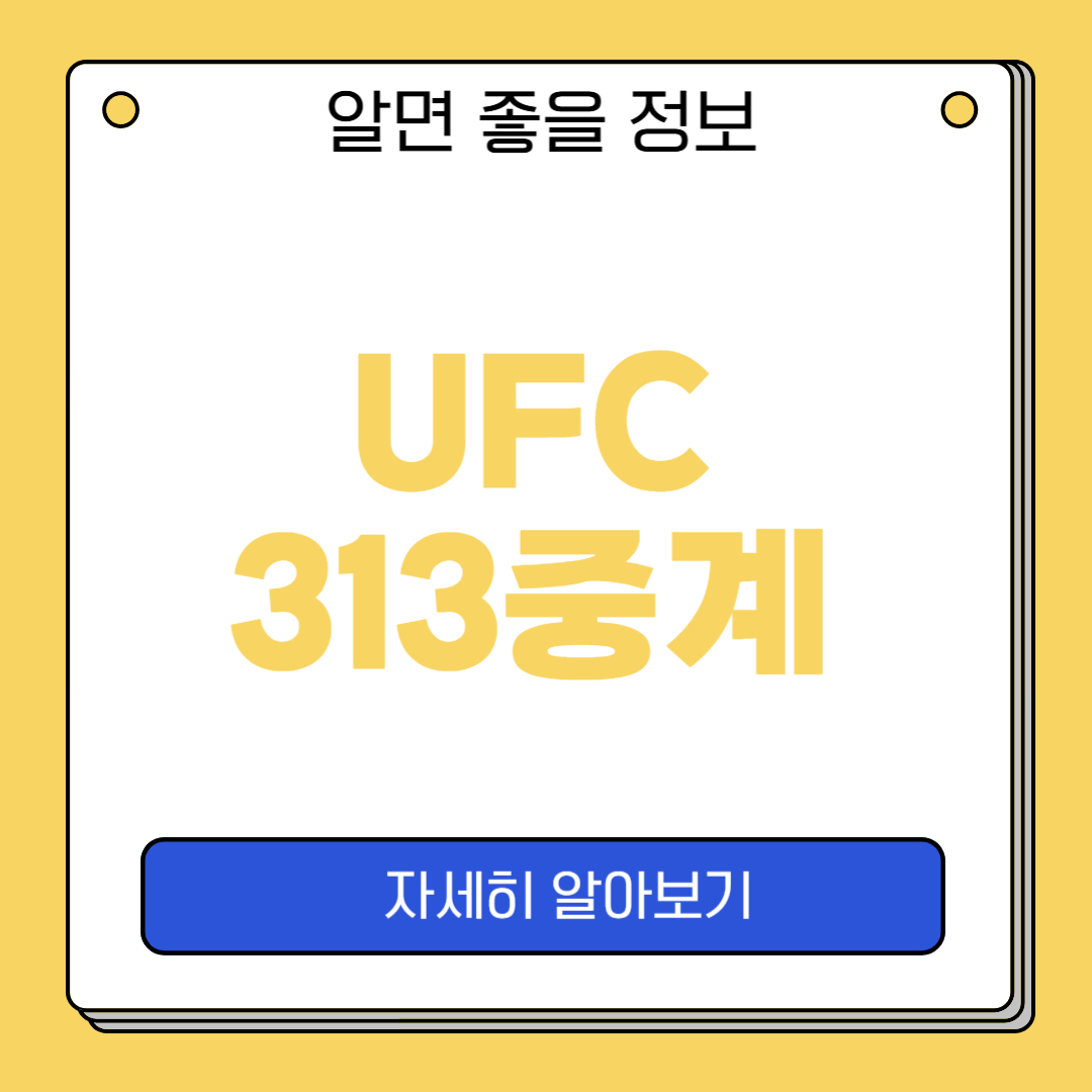 UFC313