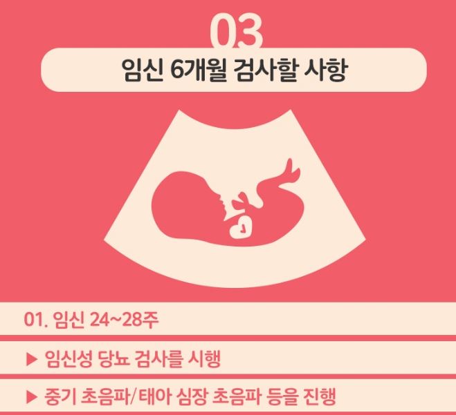 임신 6개월 검사할 사항