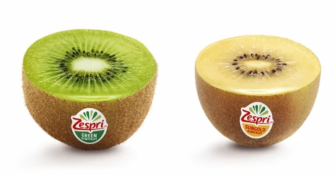 골드키위 효능 부작용_9