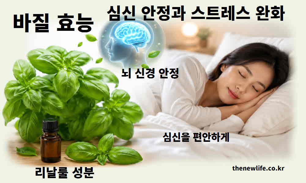 바질 효능 심신 안정 스트레스 완화