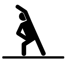 다채로운 활동